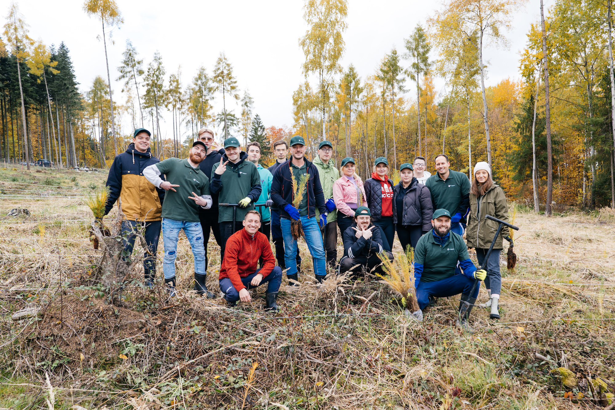 wonder_stromy-1040214