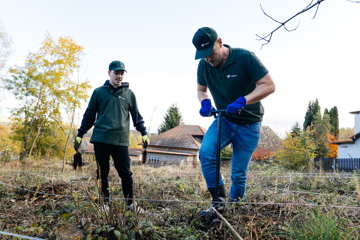 Wonderinterest | Az éghajlati válság elleni küzdelem folytatódik. Nőnek a fák, de ez még mindig nem elég