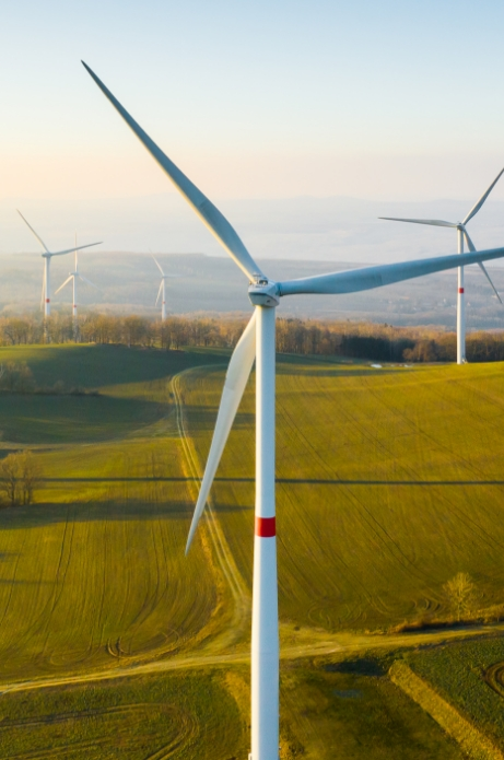 Wonderinterest | Obchodujte zodpovedne