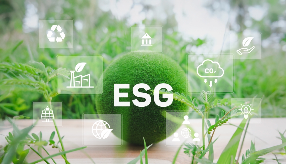 Wonderinterest | TOP 10 společností v oblasti udržitelnosti