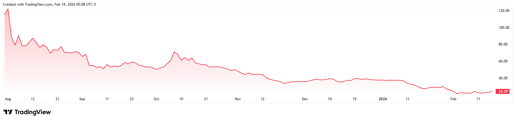 FIG_2026-02-19_11-08-11