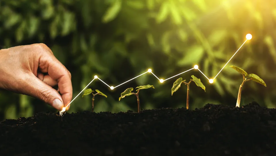 Wonderinterest | Trade Responsibly