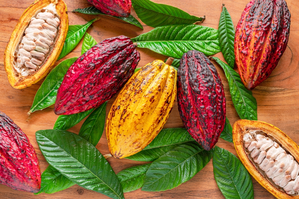 Shutterstock 2591412389