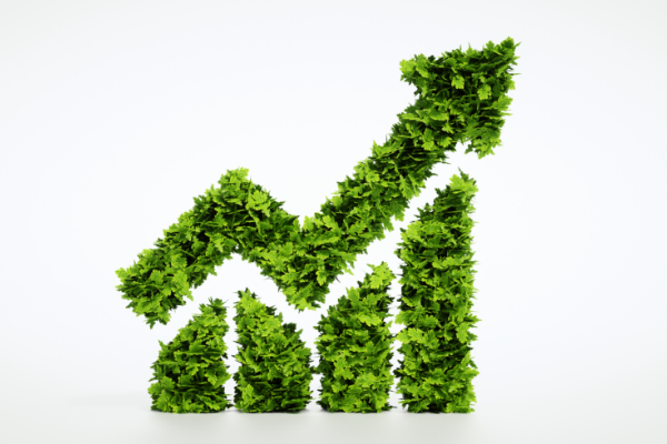 Wonderinterest | Trade CFD Indices