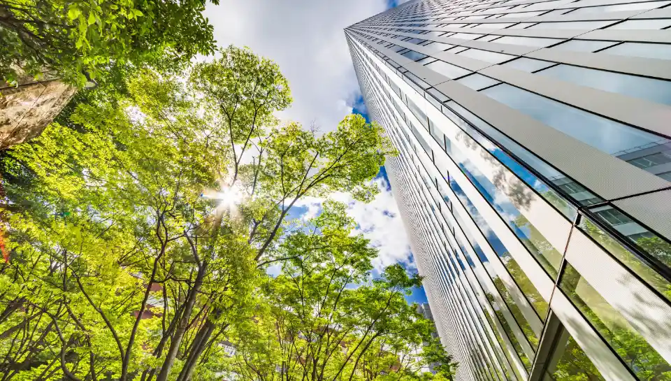Wonderinterest | Award-Winning Broker